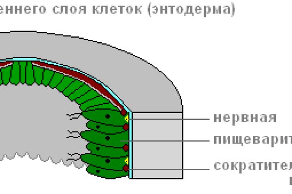 Ссылка на кракен kr2web in