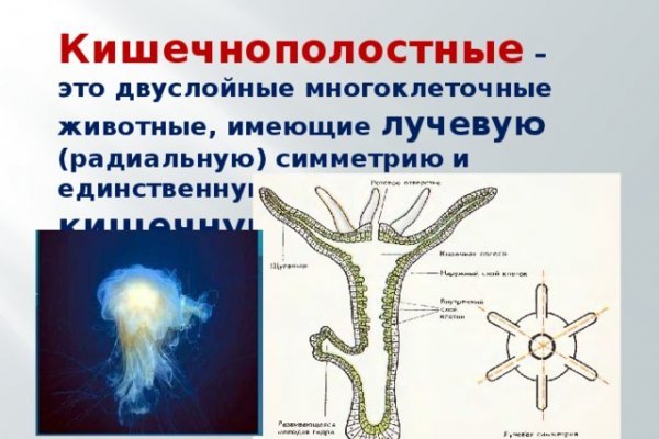 Кракен сайт официальный onion