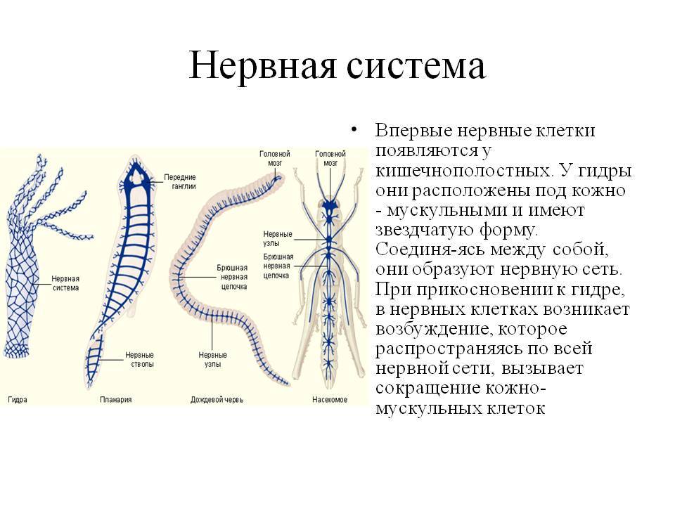 Зайти на кракен рабочее зеркало